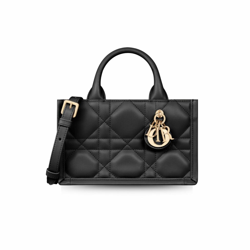 Dior Mini Dior Book Tote
