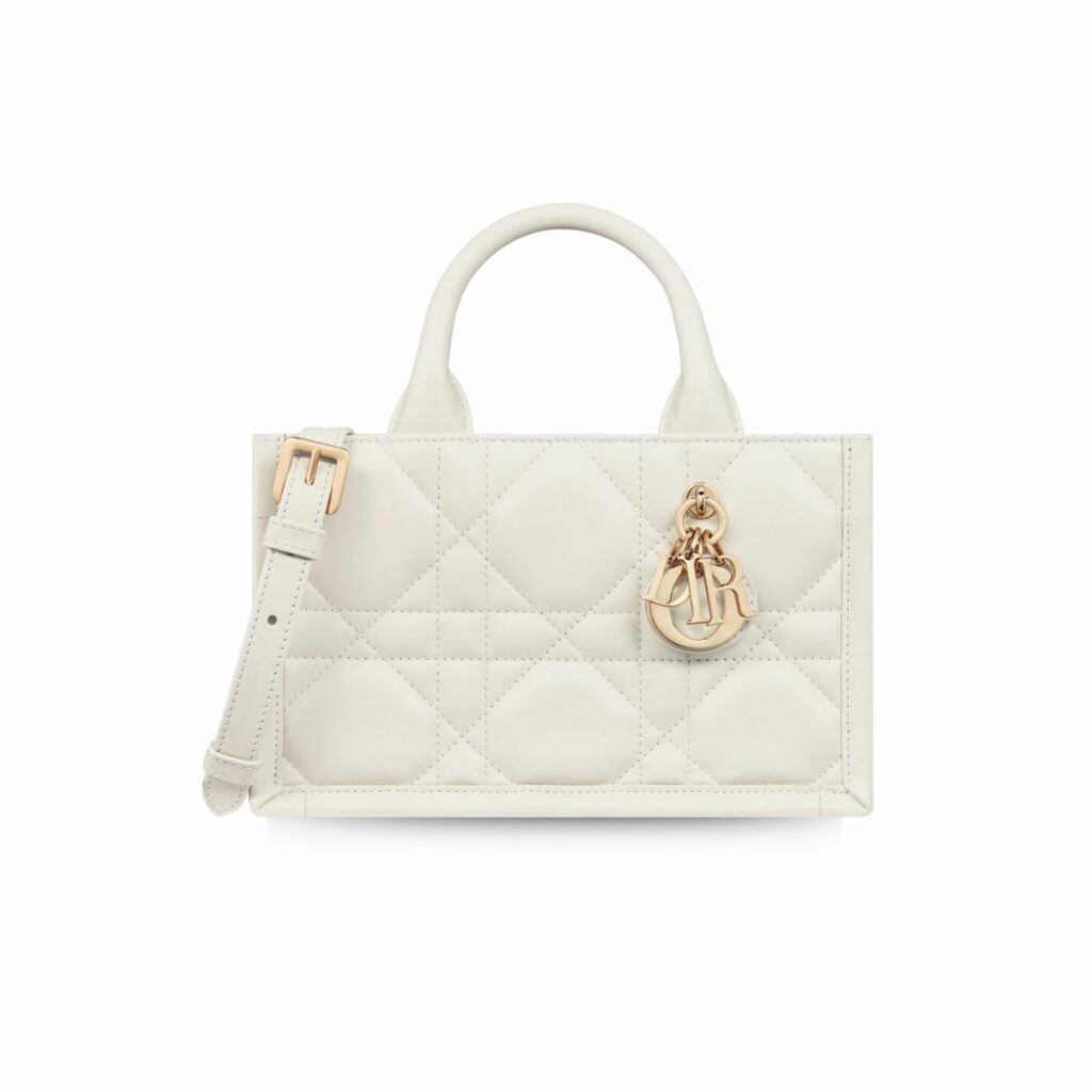 Dior Mini Dior Book Tote