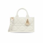 Dior Mini Dior Book Tote White For Women 8.5 Inches/ 21.5 Cm S5573OWHP_M030