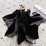 Dior Trotter Umbrella Black
