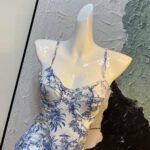Dior Swimsuit Toile De Jouy Blue For Women