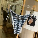 Dior Swimsuit Oblique Black For Women