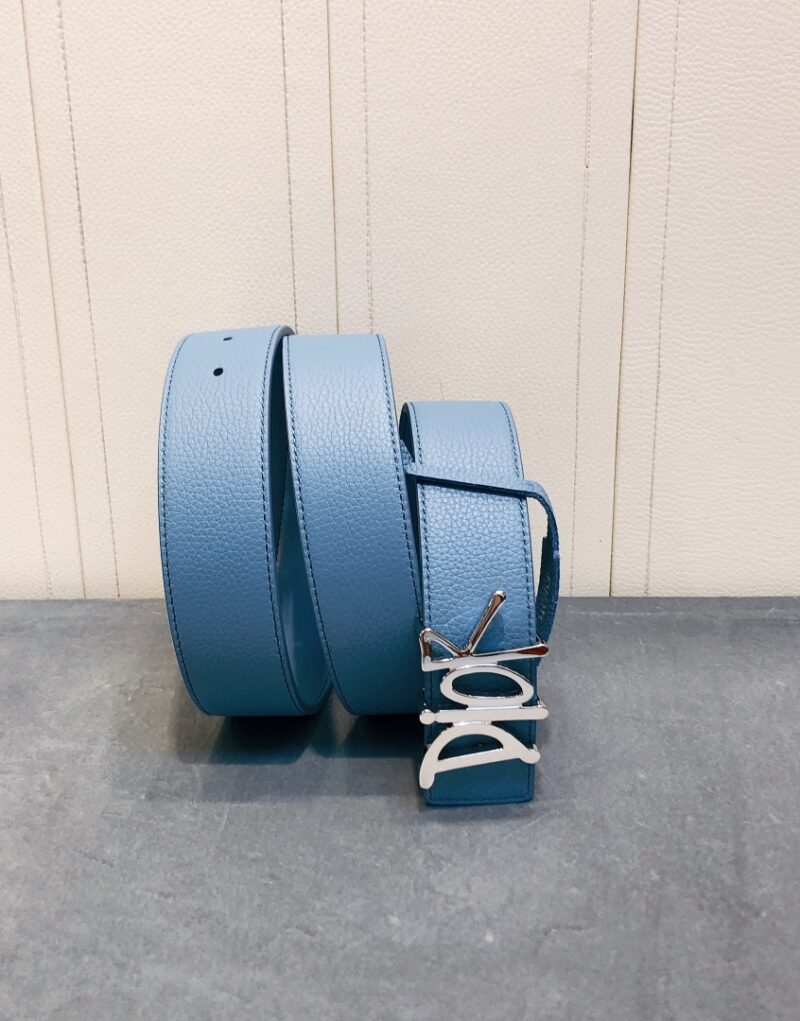 Christian Dior Silver Tone D-Fence Buckle Belt Blue For Women
