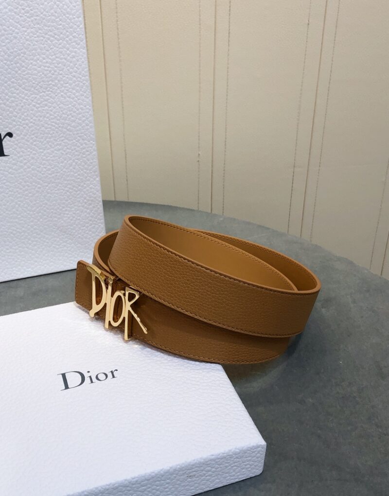Christian Dior D-Fence Buckle Belt Brown For Women