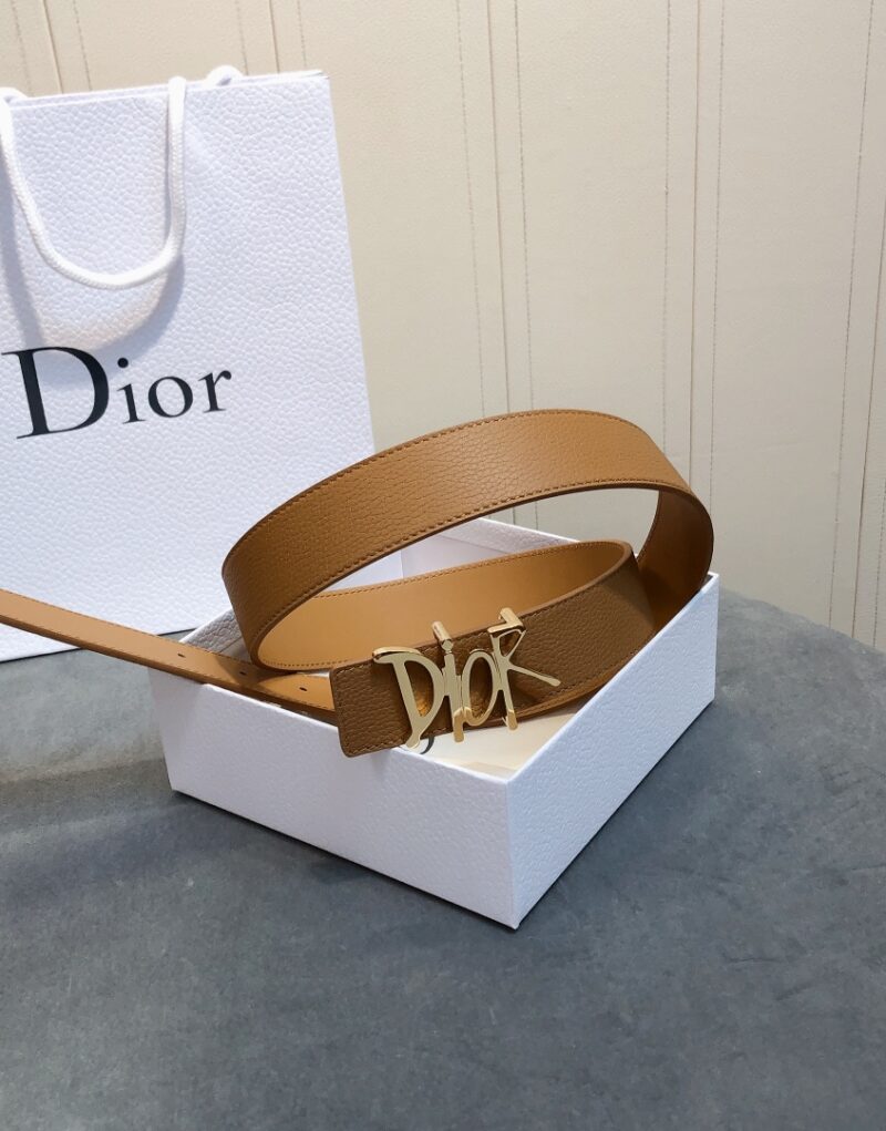 Christian Dior D-Fence Buckle Belt Brown For Women