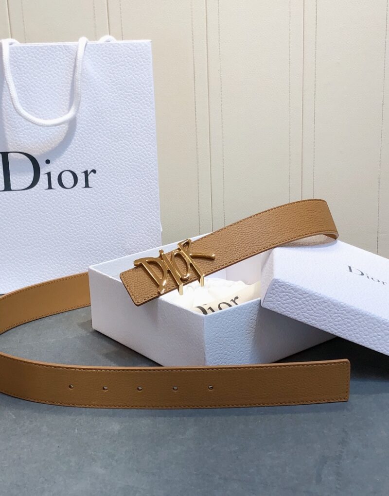 Christian Dior D-Fence Buckle Belt Brown For Women