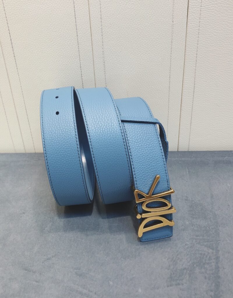 Christian Dior Gold Tone D-Fence Buckle Belt Blue For Women
