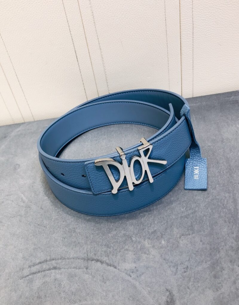 Christian Dior Silver Tone D-Fence Buckle Belt Blue For Women