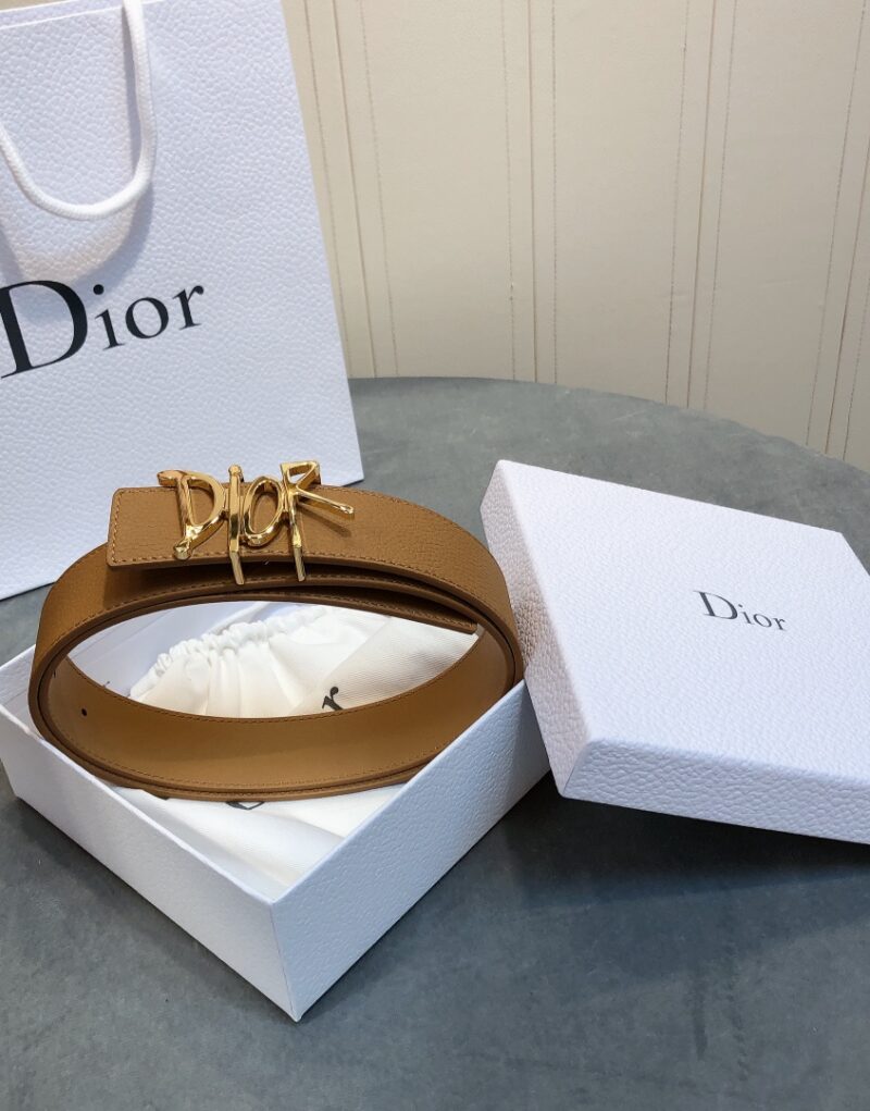 Christian Dior D-Fence Buckle Belt Brown For Women