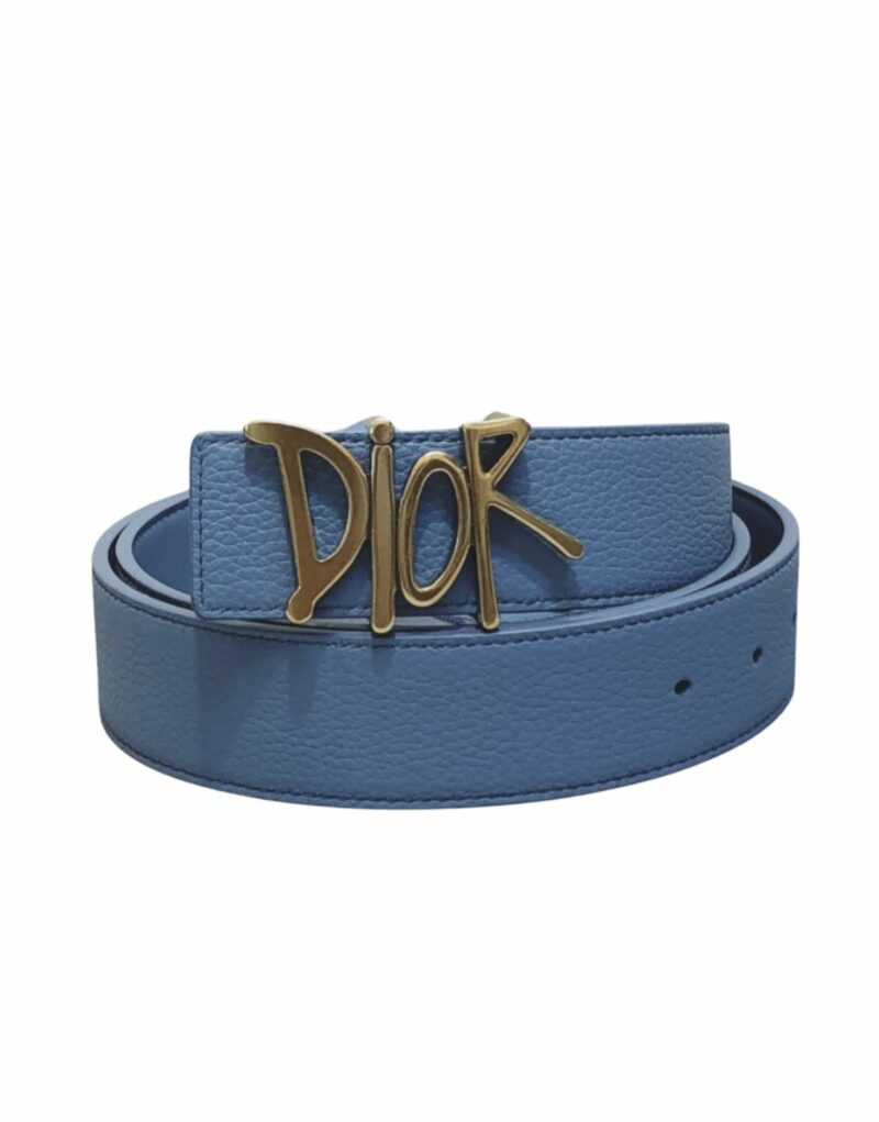 Christian Dior Gold Tone D-Fence Buckle Belt Blue For Women