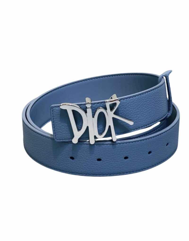 Christian Dior Silver Tone D-Fence Buckle Belt Blue For Women