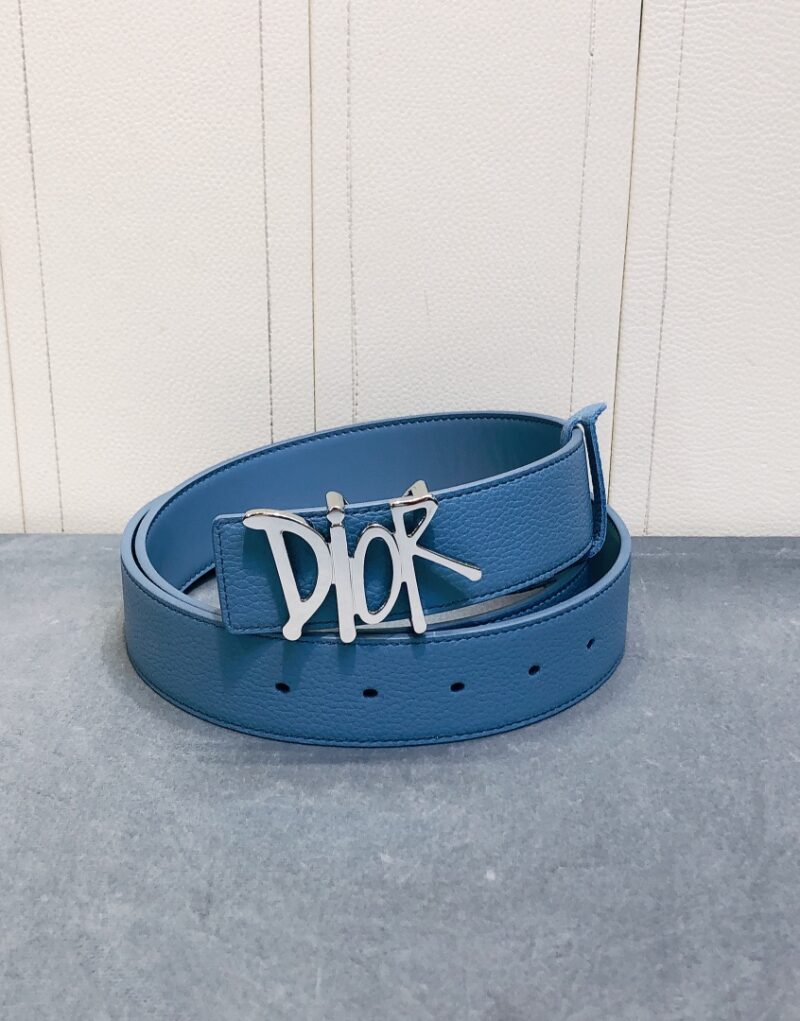Christian Dior Silver Tone D-Fence Buckle Belt Blue For Women