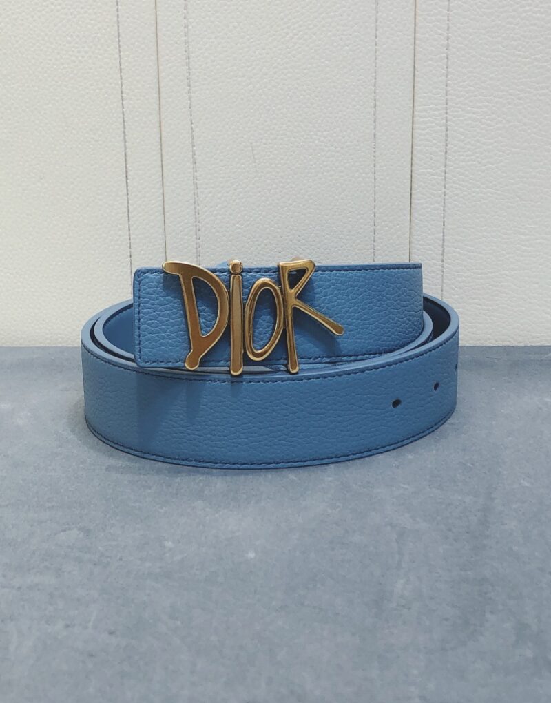Christian Dior Gold Tone D-Fence Buckle Belt Blue For Women