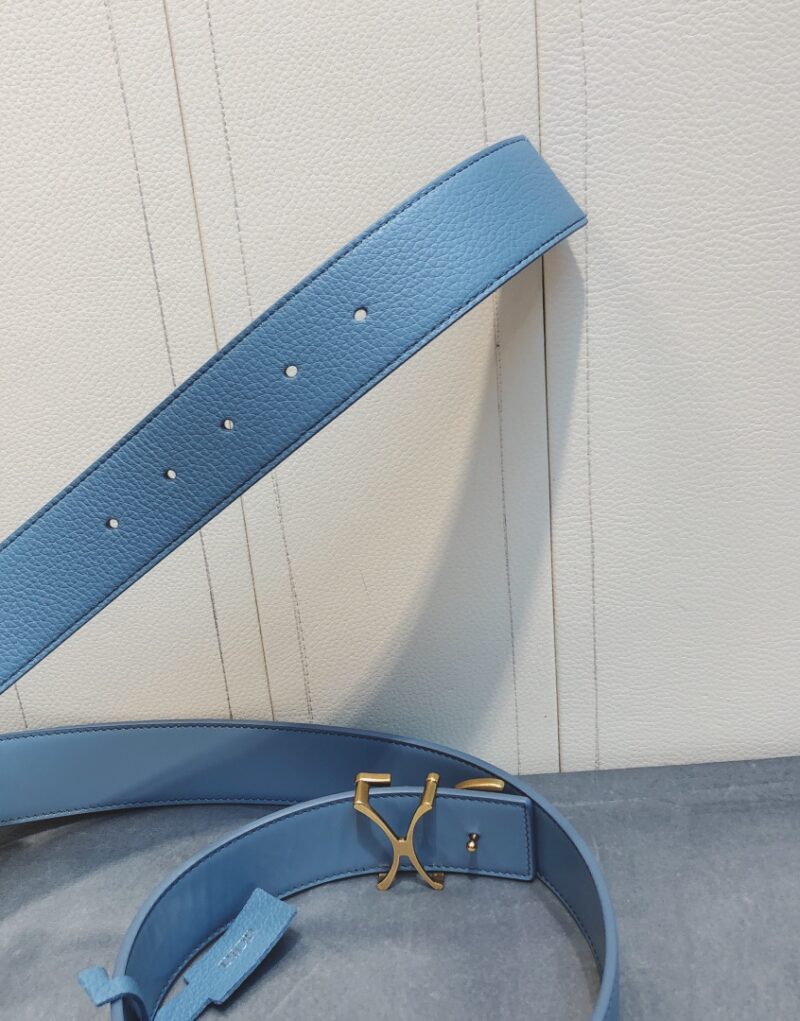 Christian Dior Gold Tone D-Fence Buckle Belt Blue For Women