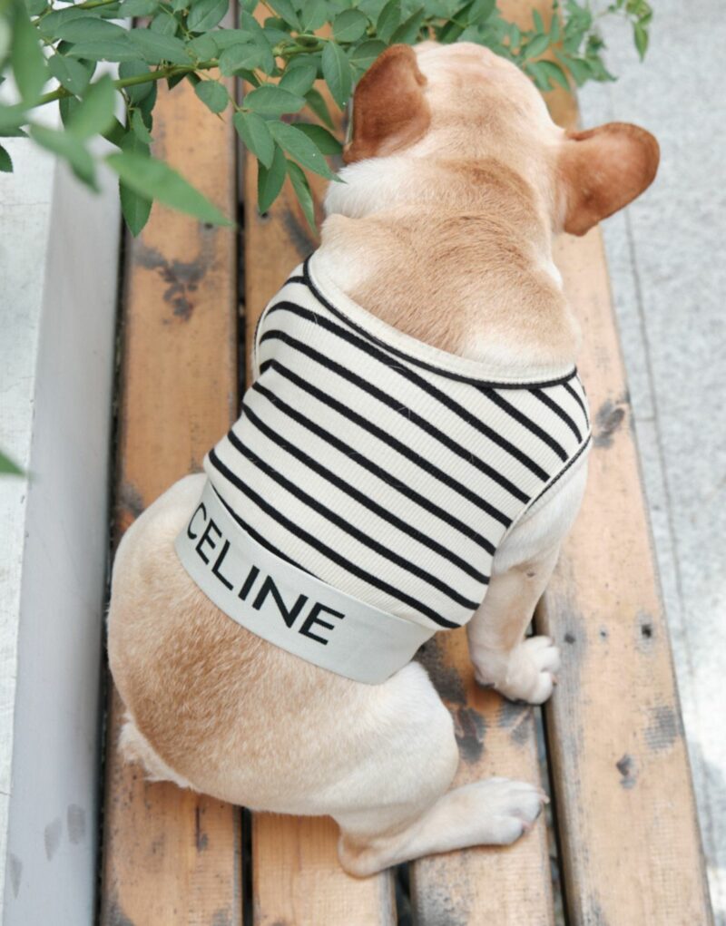 Celine Shirt White For Pet