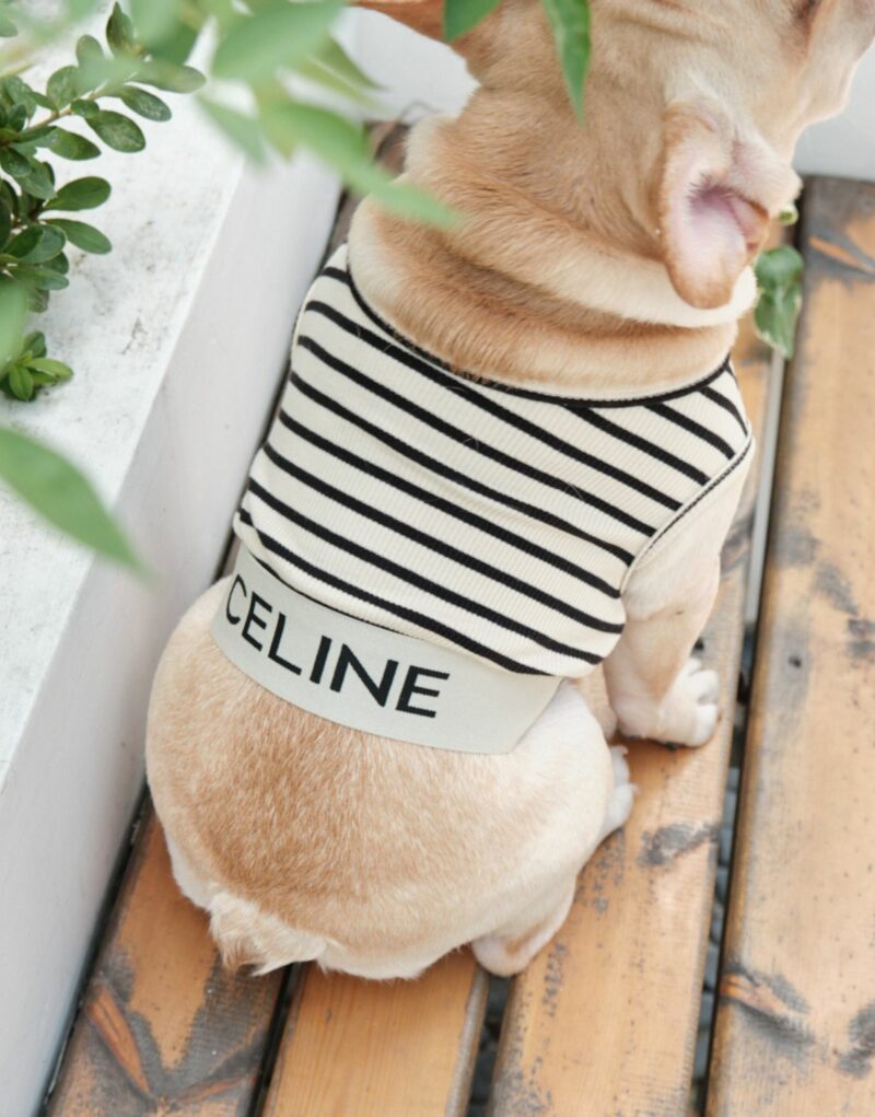 Celine Shirt White For Pet