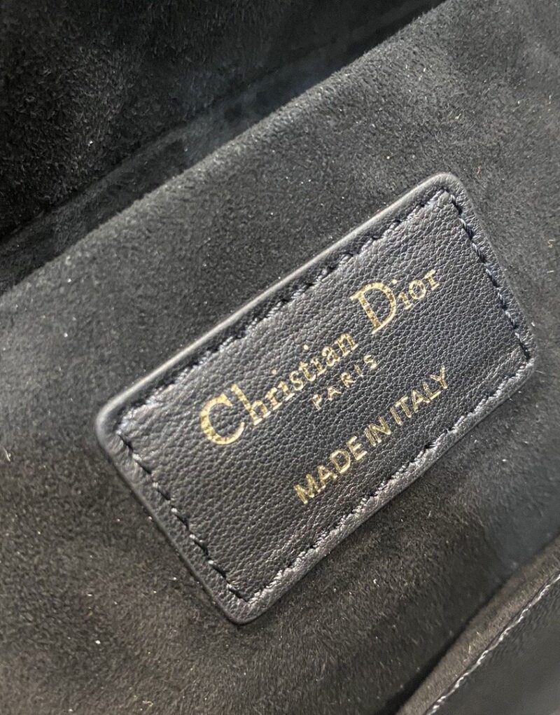 Special Set Christian Dior: Lady D-Joy Bag + Tribales Earrings
