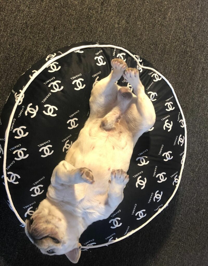 Chanel Bed Round Black For Pet