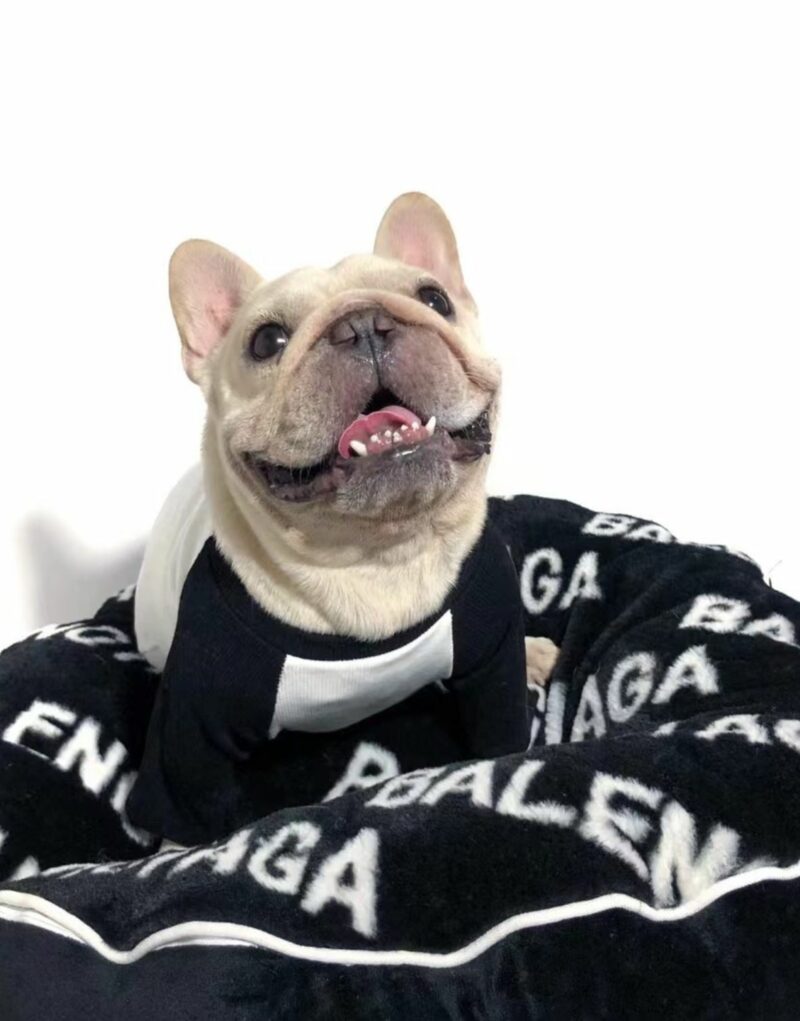 Balenciaga Bed Round Black For Pet