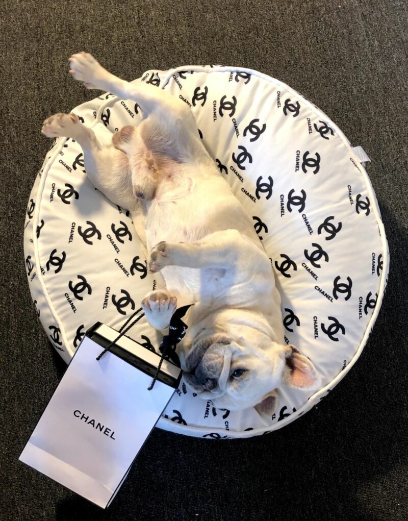 Chanel Bed Round White For Pet