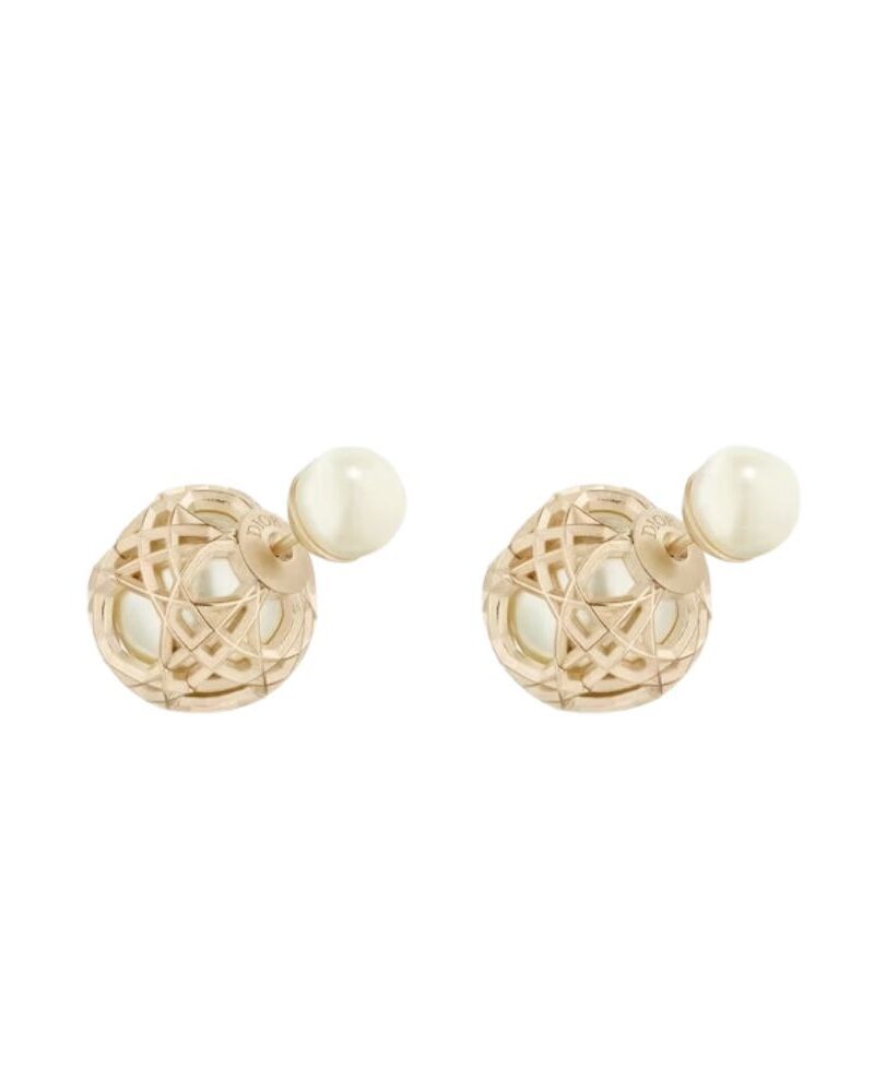 Special Set Christian Dior: Lady D-Joy Bag + Tribales Earrings