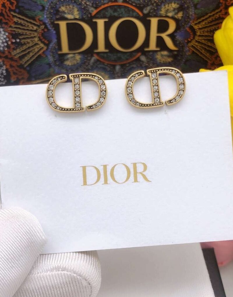 Special Set Dior: Medium Bobby Bag + Monogram Mini Earrings