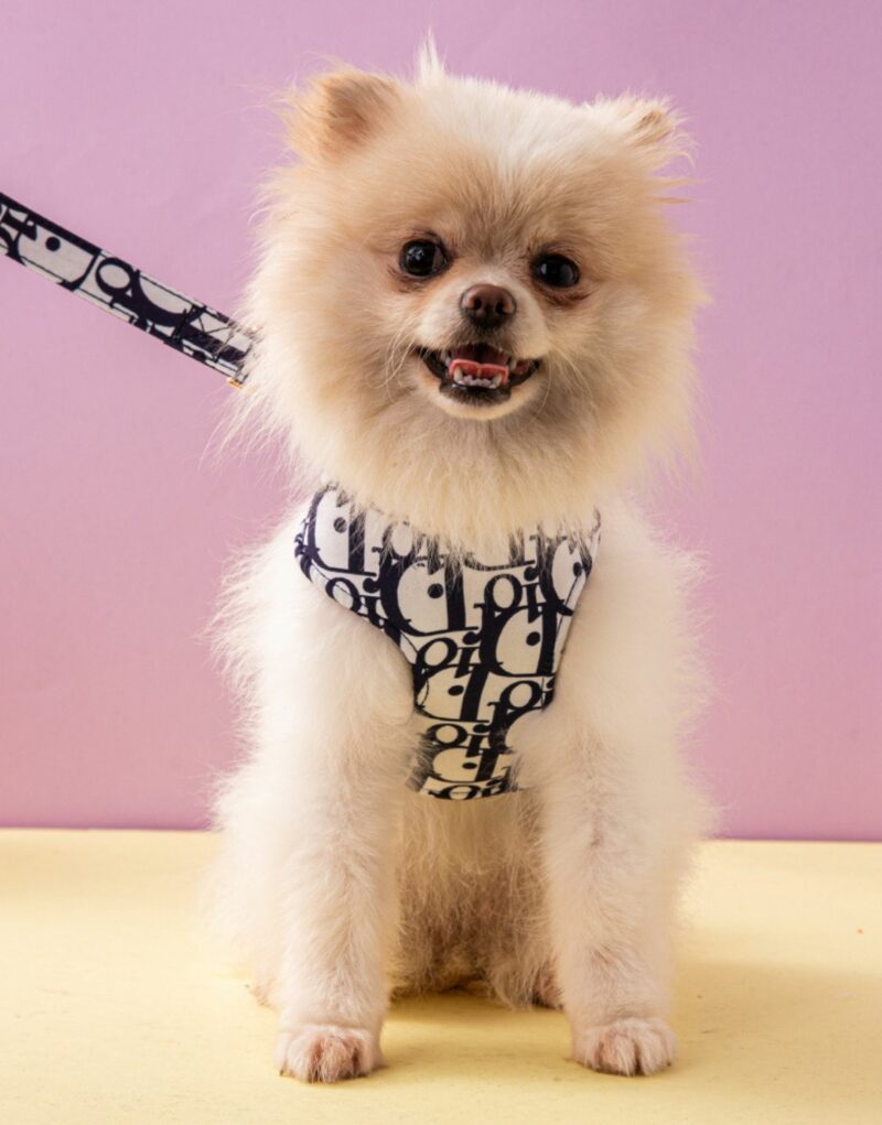 Dior Harness And Leash White For Pet