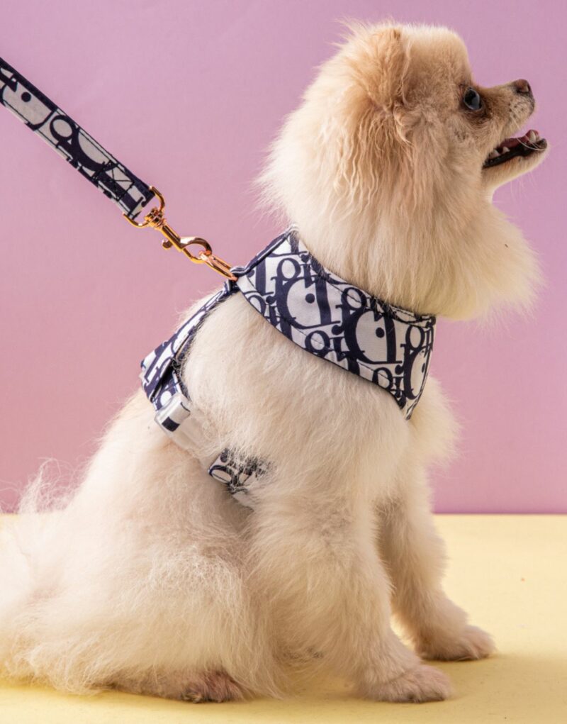 Dior Harness And Leash White For Pet
