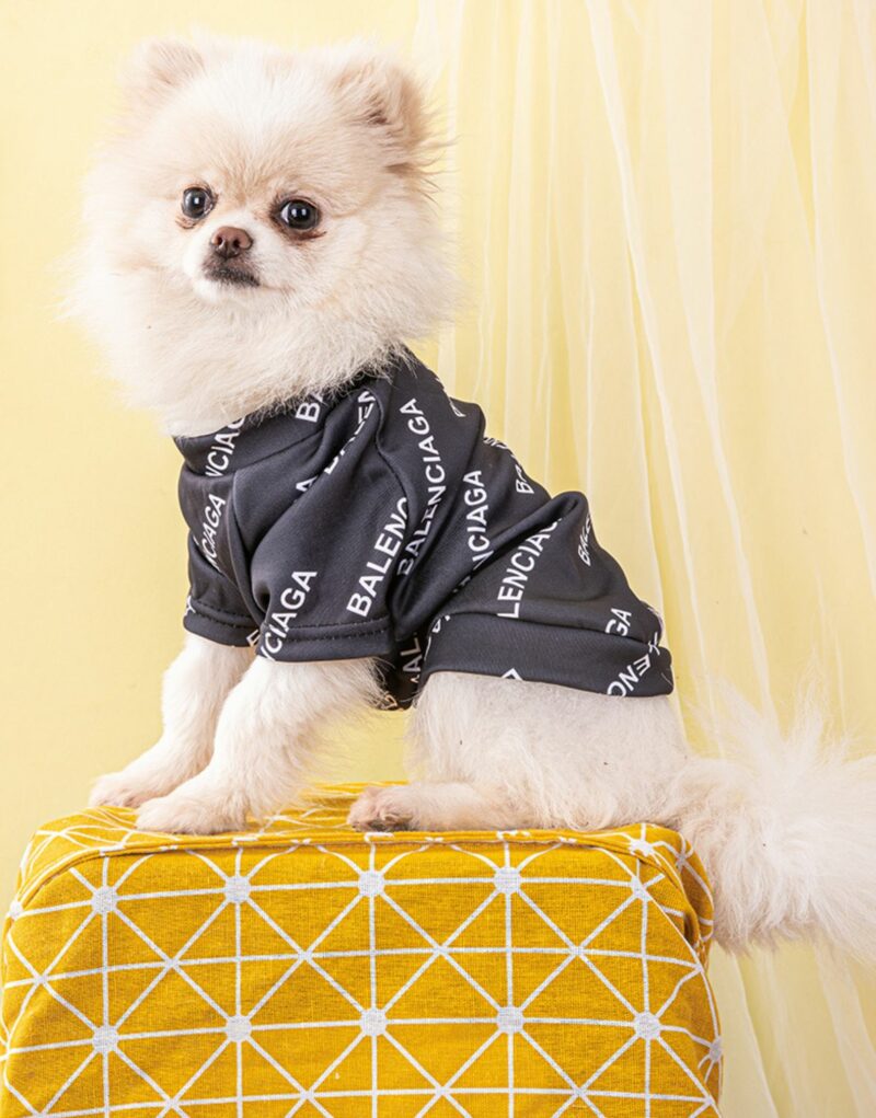 Balenciaga Sweater Black For Pet