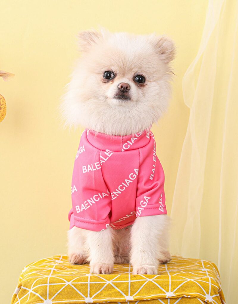 Balenciaga Sweater Pink For Pet