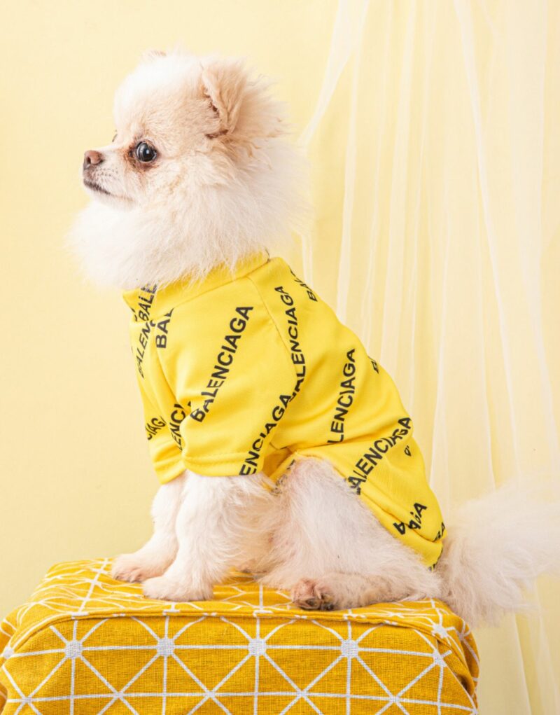 Balenciaga Sweater Yellow For Pet