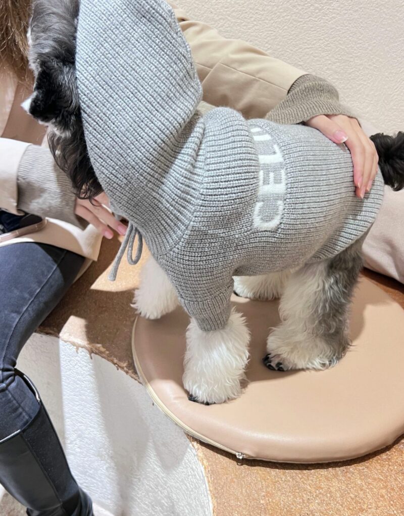 Celine Sweater Grey For Pet