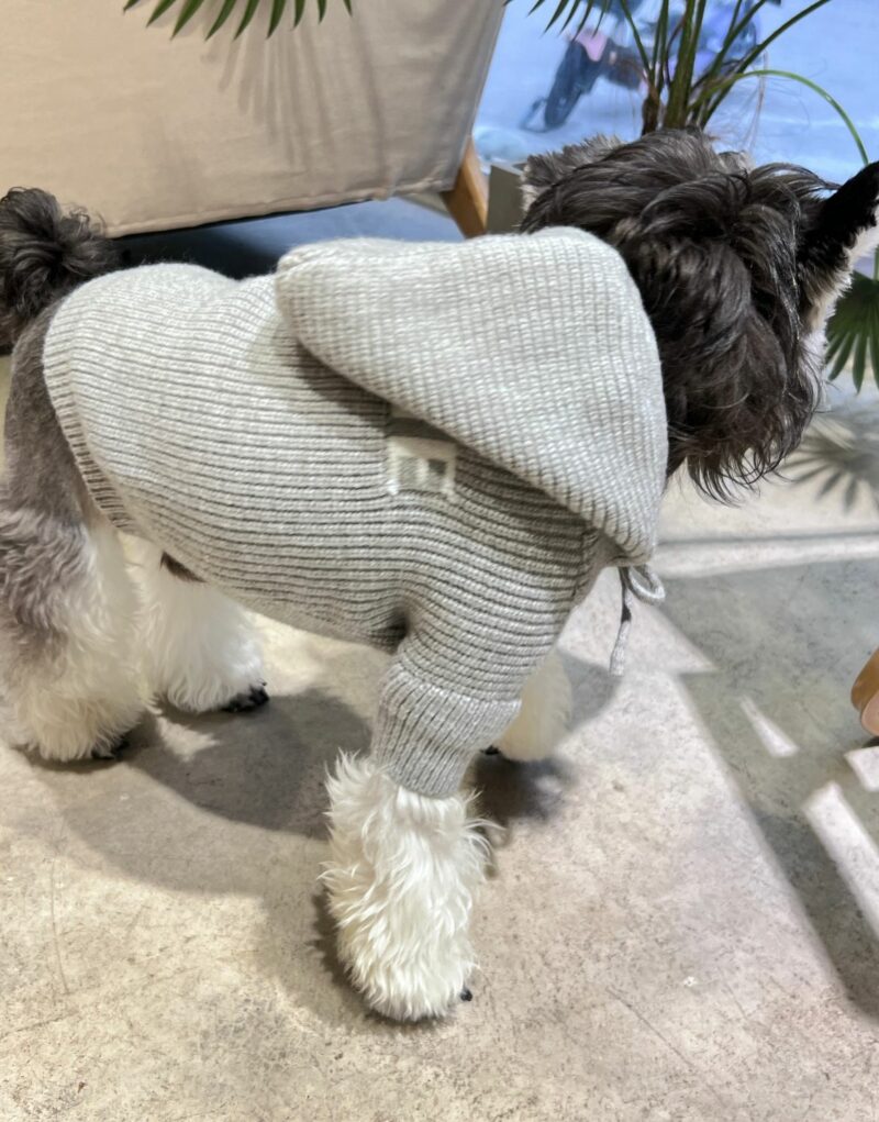 Celine Sweater Grey For Pet
