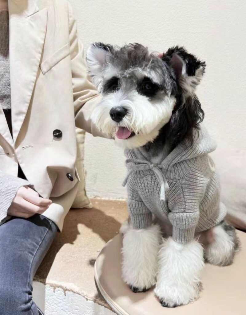 Celine Sweater Grey For Pet