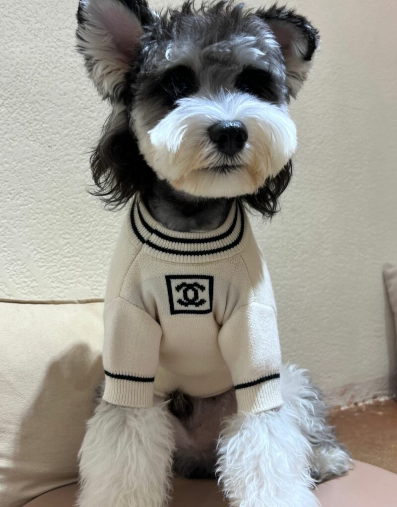 Chanel Sweater White For Pet