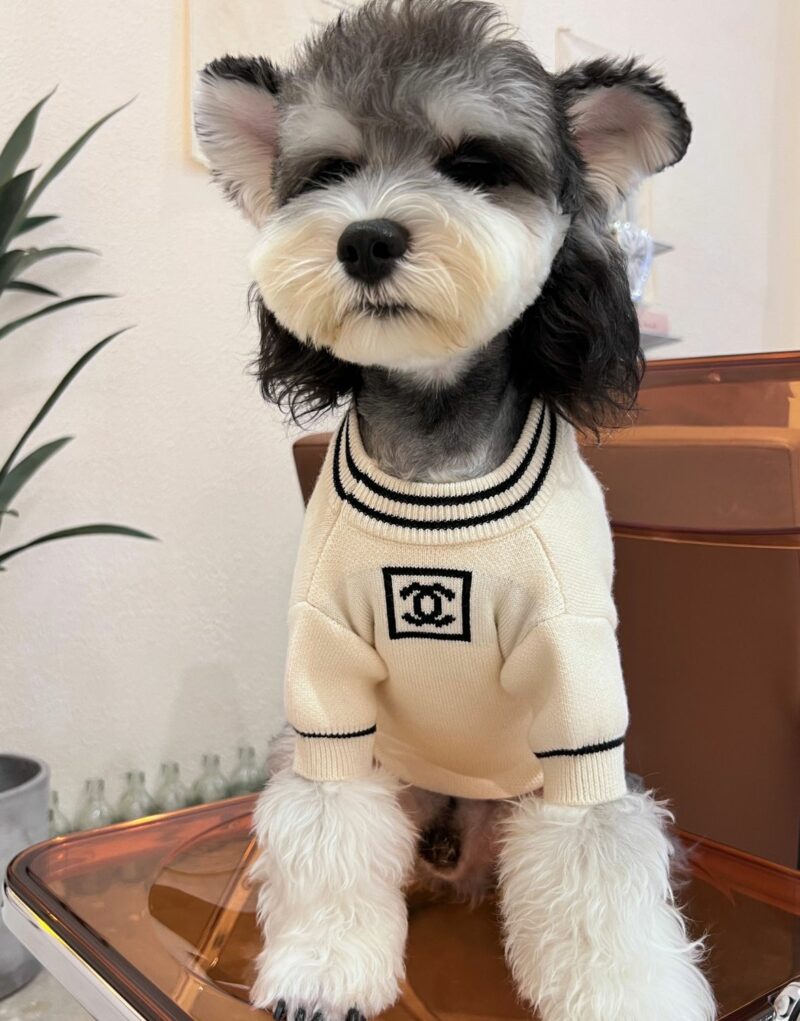 Chanel Sweater White For Pet