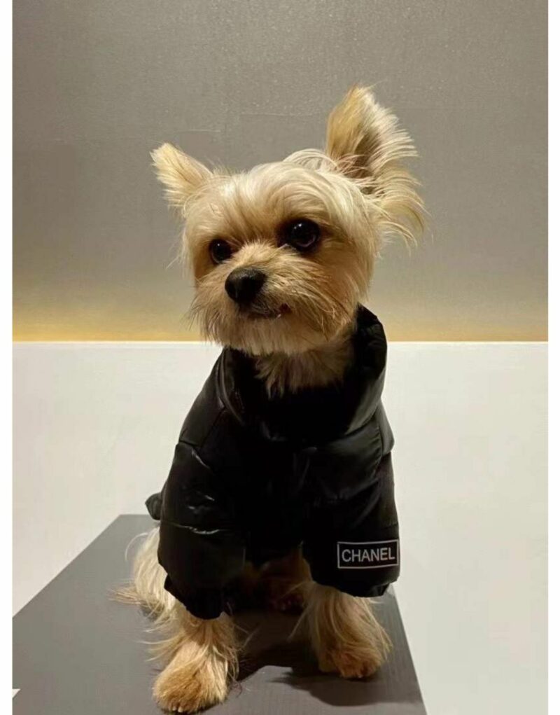 Chanel Jacket Black For Pet