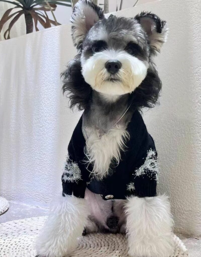 Chanel Logo Sweater Black/White For Pet