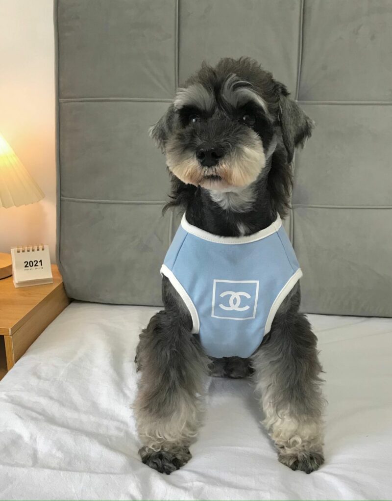 Chanel Shirt Light Blue For Pet