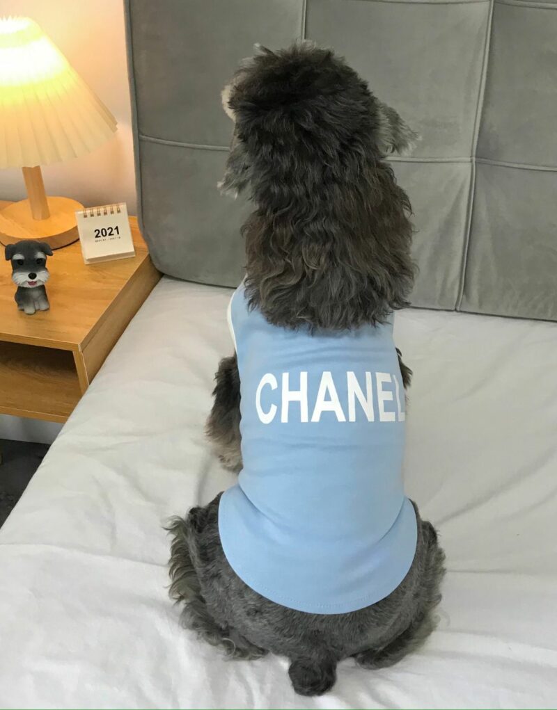 Chanel Shirt Light Blue For Pet