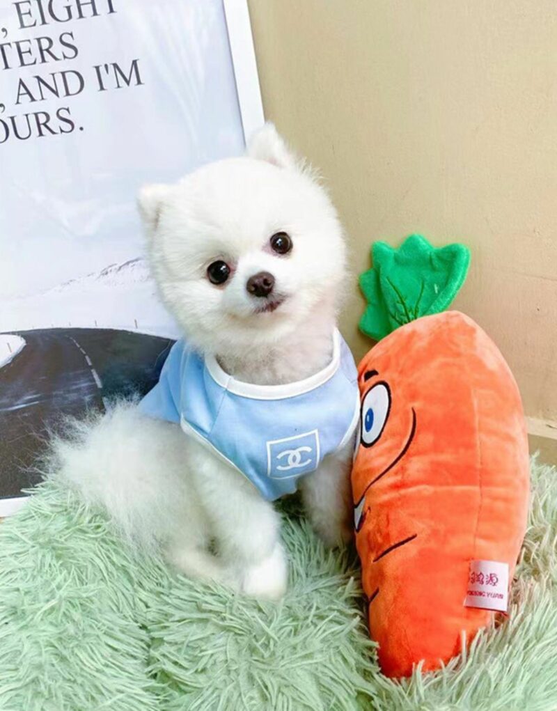 Chanel Shirt Light Blue For Pet