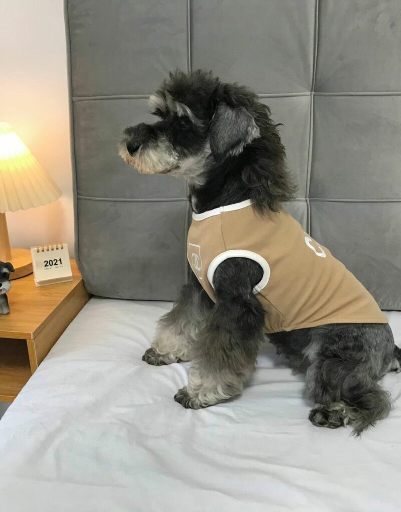 Chanel Shirt Light Brown For Pet