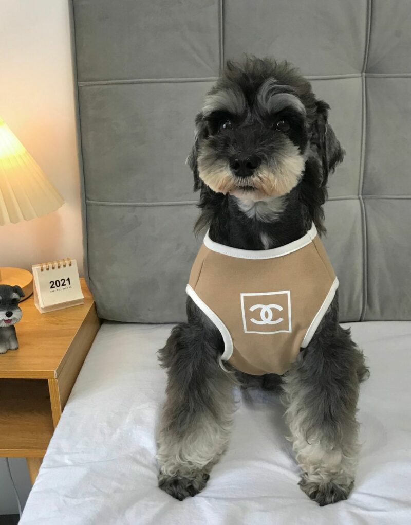 Chanel Shirt Light Brown For Pet