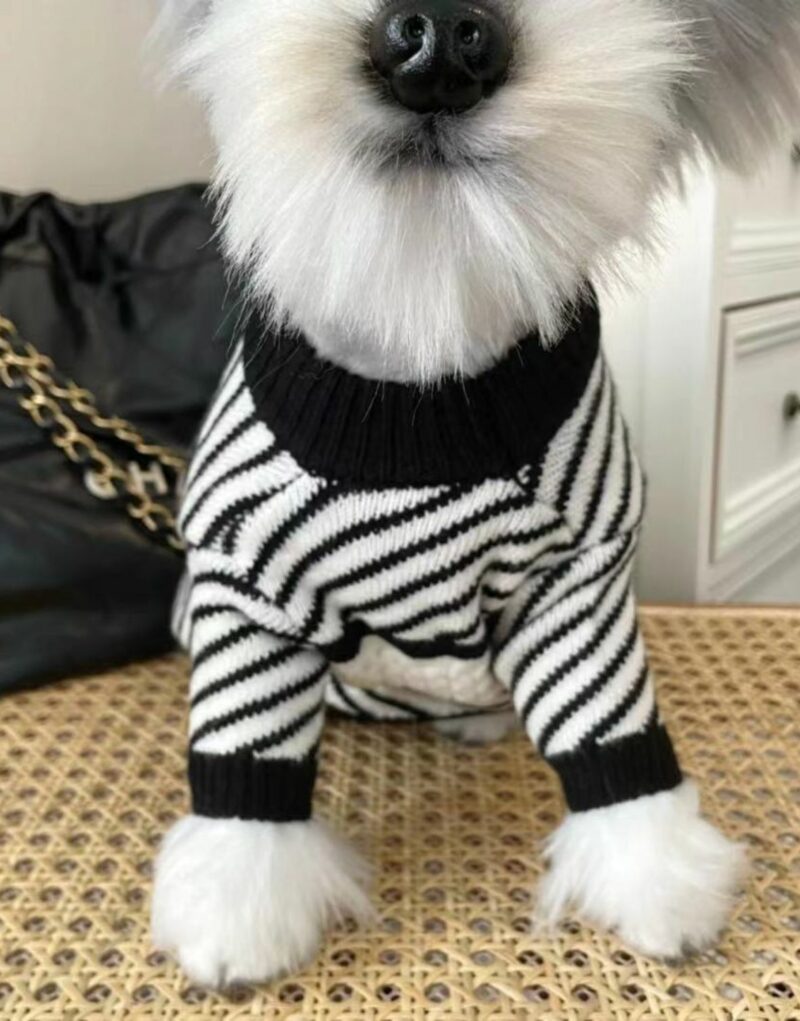 Chanel Sweater Black/White For Pet