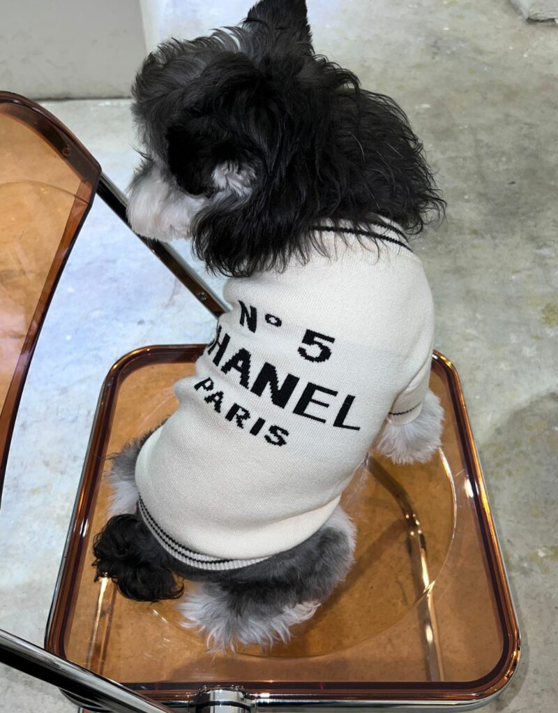 Chanel Sweater White For Pet
