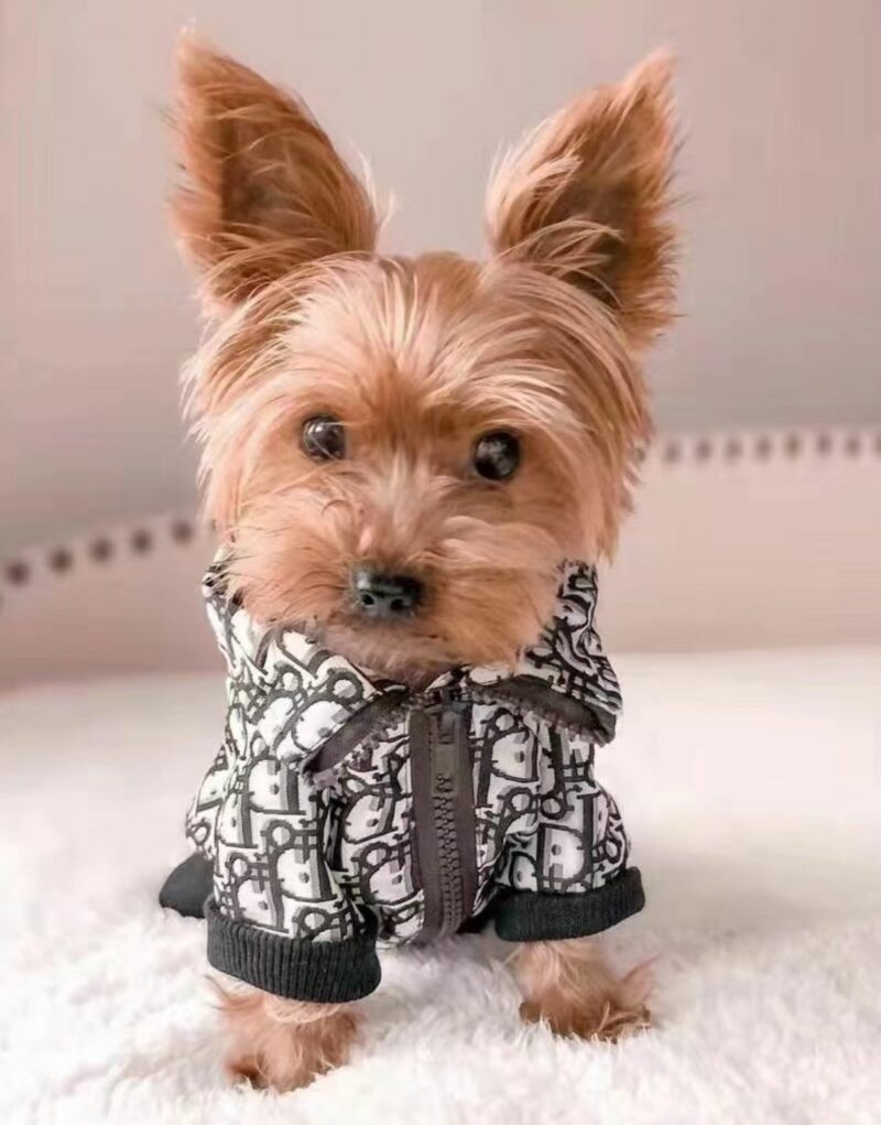 Dior Jacket Black For Pet