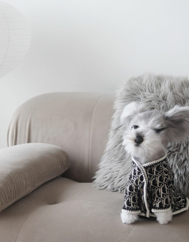 Dior Sweater Black For Pet