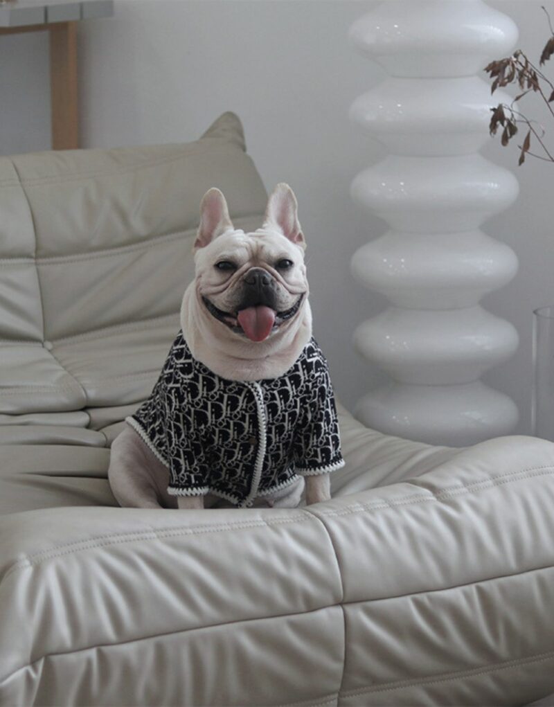 Dior Sweater Black For Pet