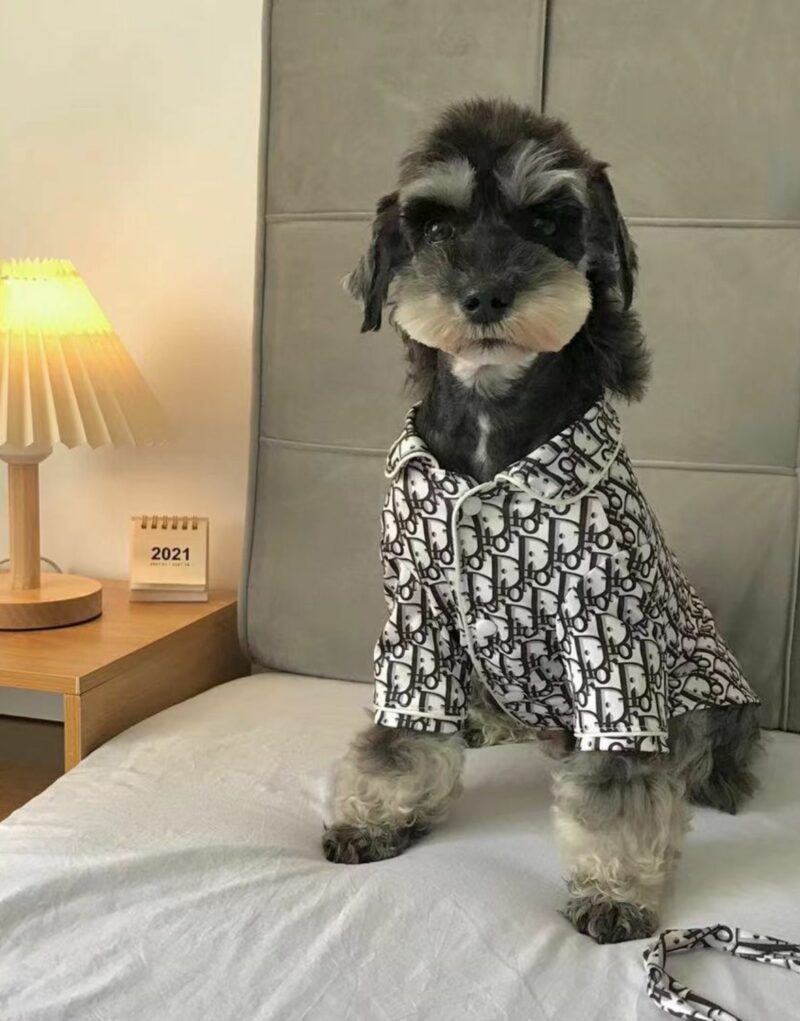 Dior T-Shirt Black/White For Pet