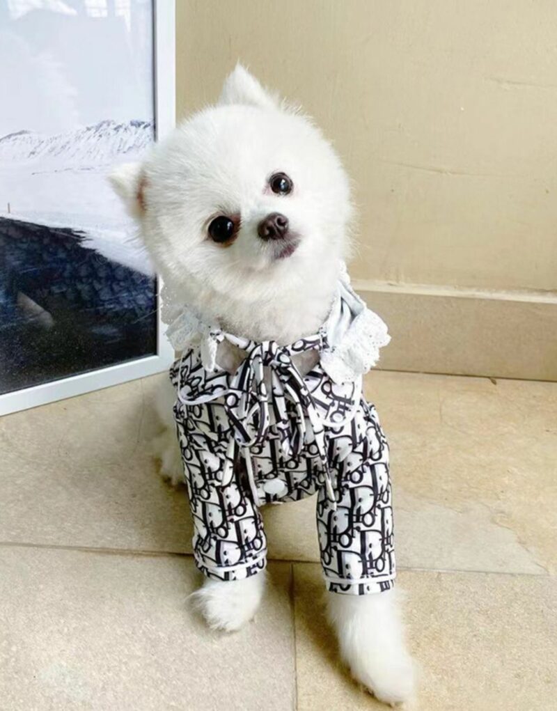 Dior T-Shirt Black/White For Pet